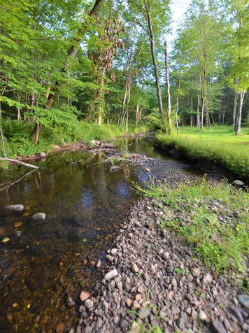 22 Buttercup Lane Antrim NH 03440