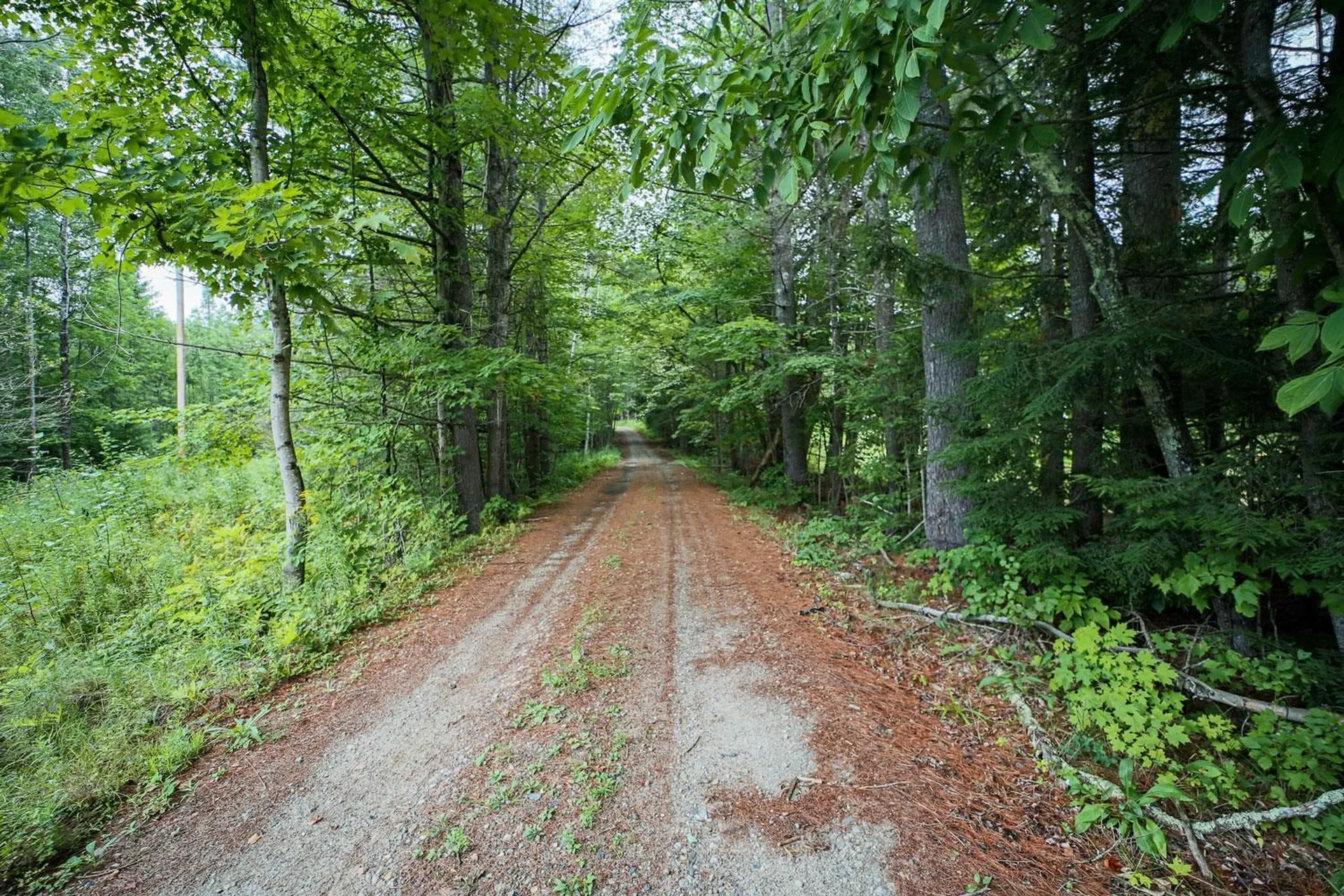197 Orange Road Canaan NH 03741