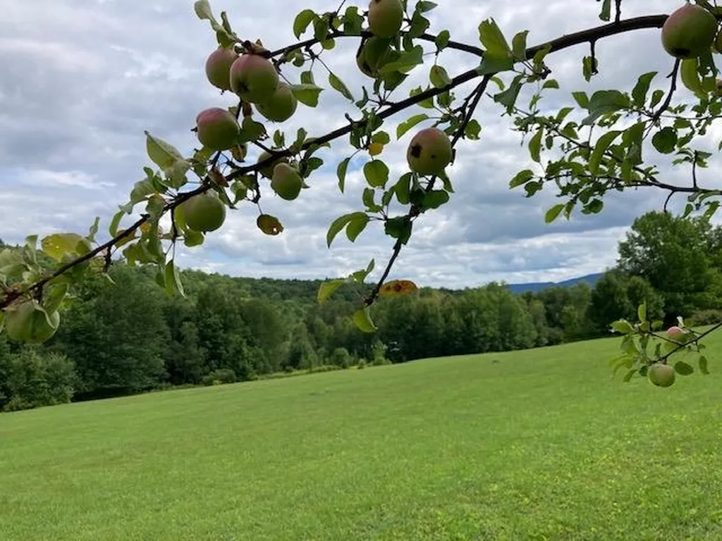 0 Center Fayston Road Fayston VT 05660