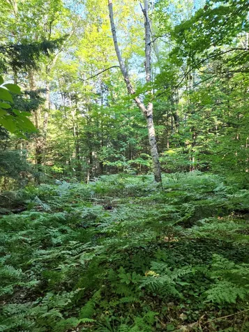 100 Birch Circle Campton NH 03223