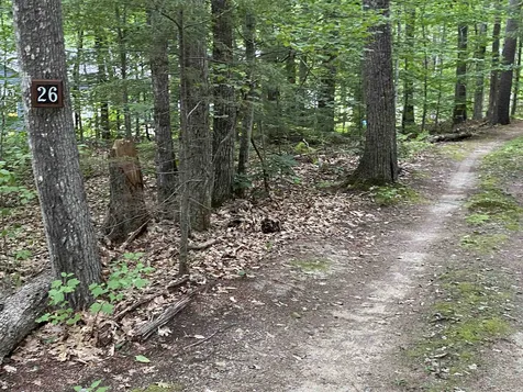 26 Westwood Shores Road Moultonborough NH 03254