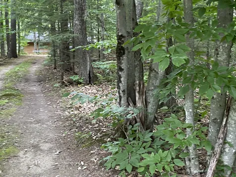 26 Westwood Shores Road Moultonborough NH 03254