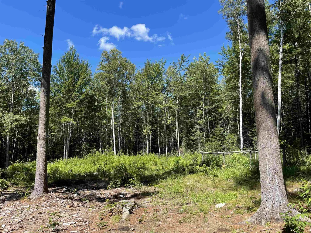 0 Fernwood Farms Road Canaan NH 03741