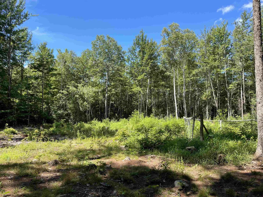 0 Fernwood Farms Road Canaan NH 03741