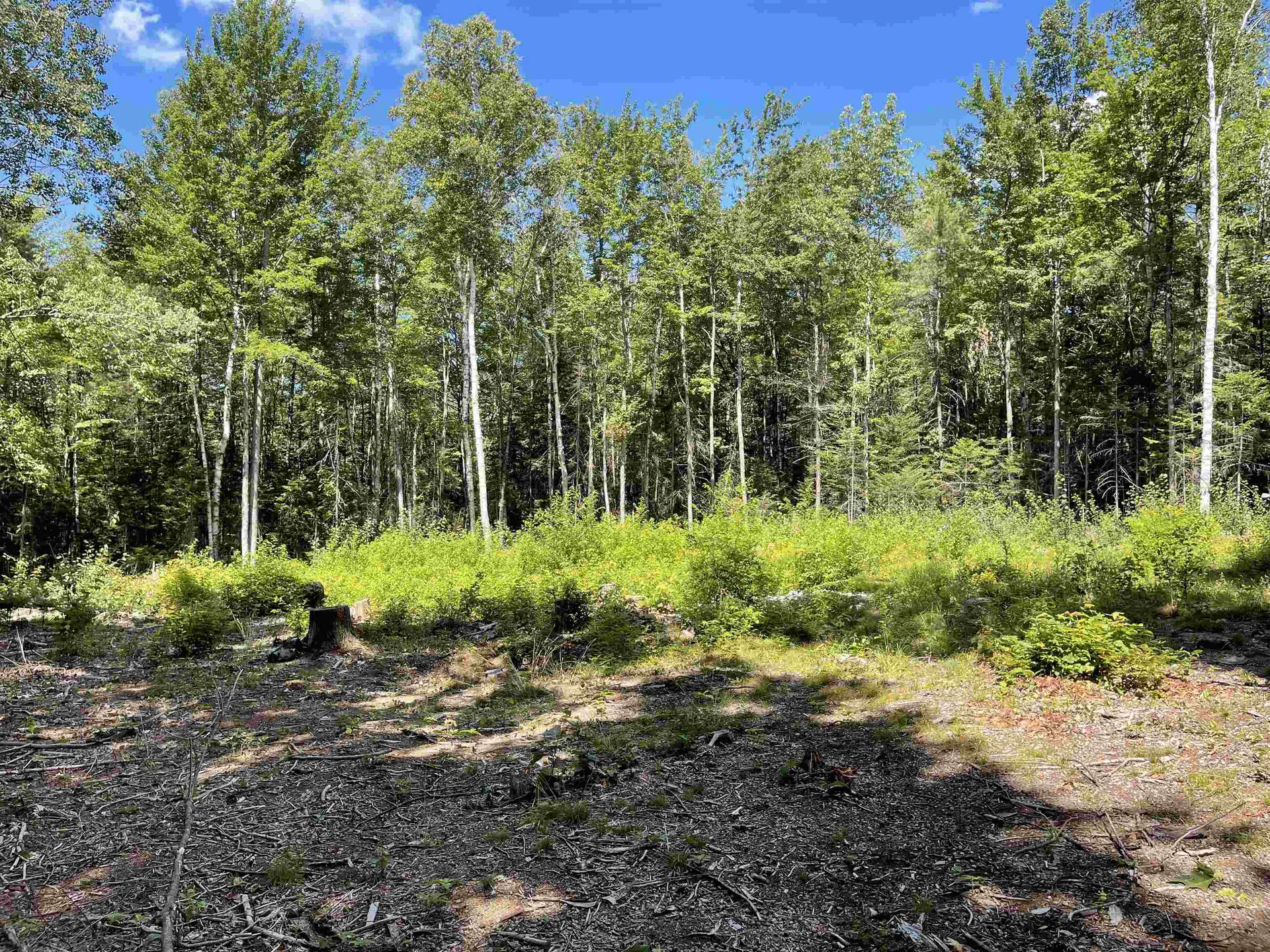 0 Fernwood Farms Road Canaan NH 03741
