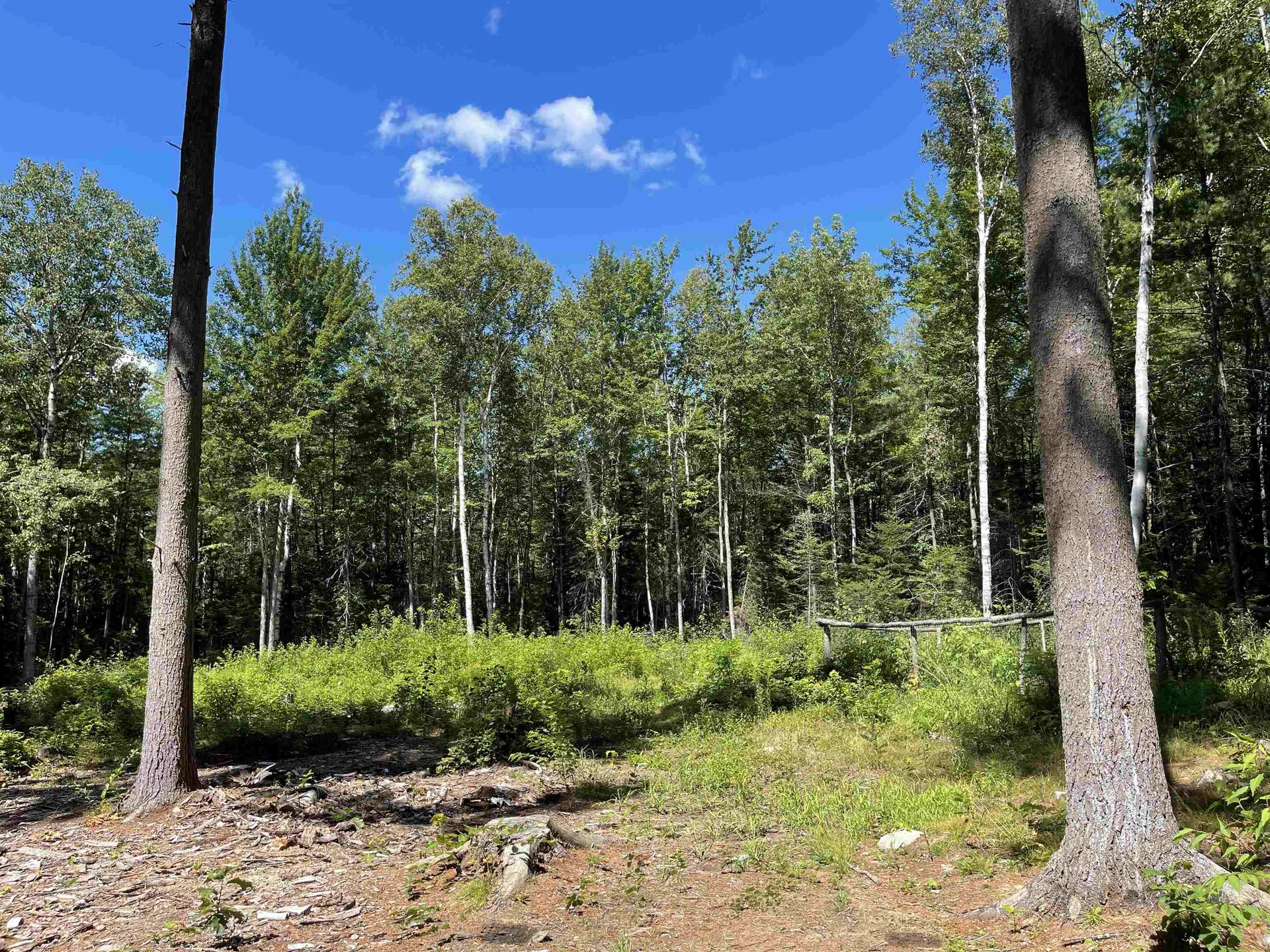 0 Fernwood Farms Road Canaan NH 03741