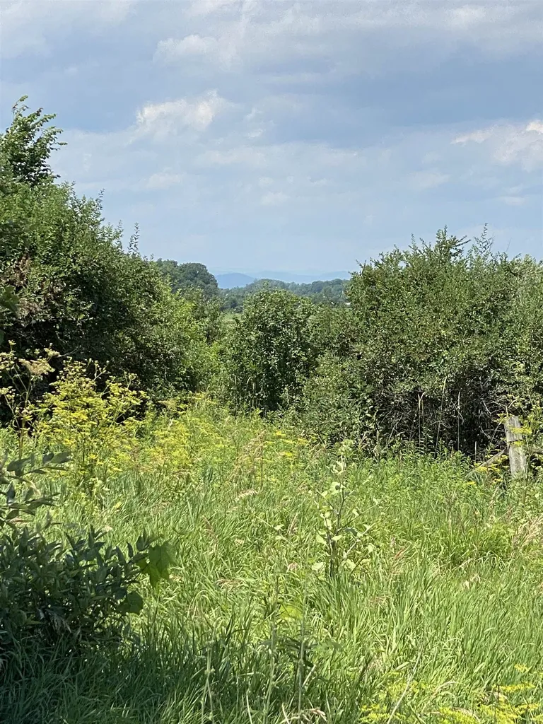 Tbd Barnum Hill Road Shoreham VT 05770