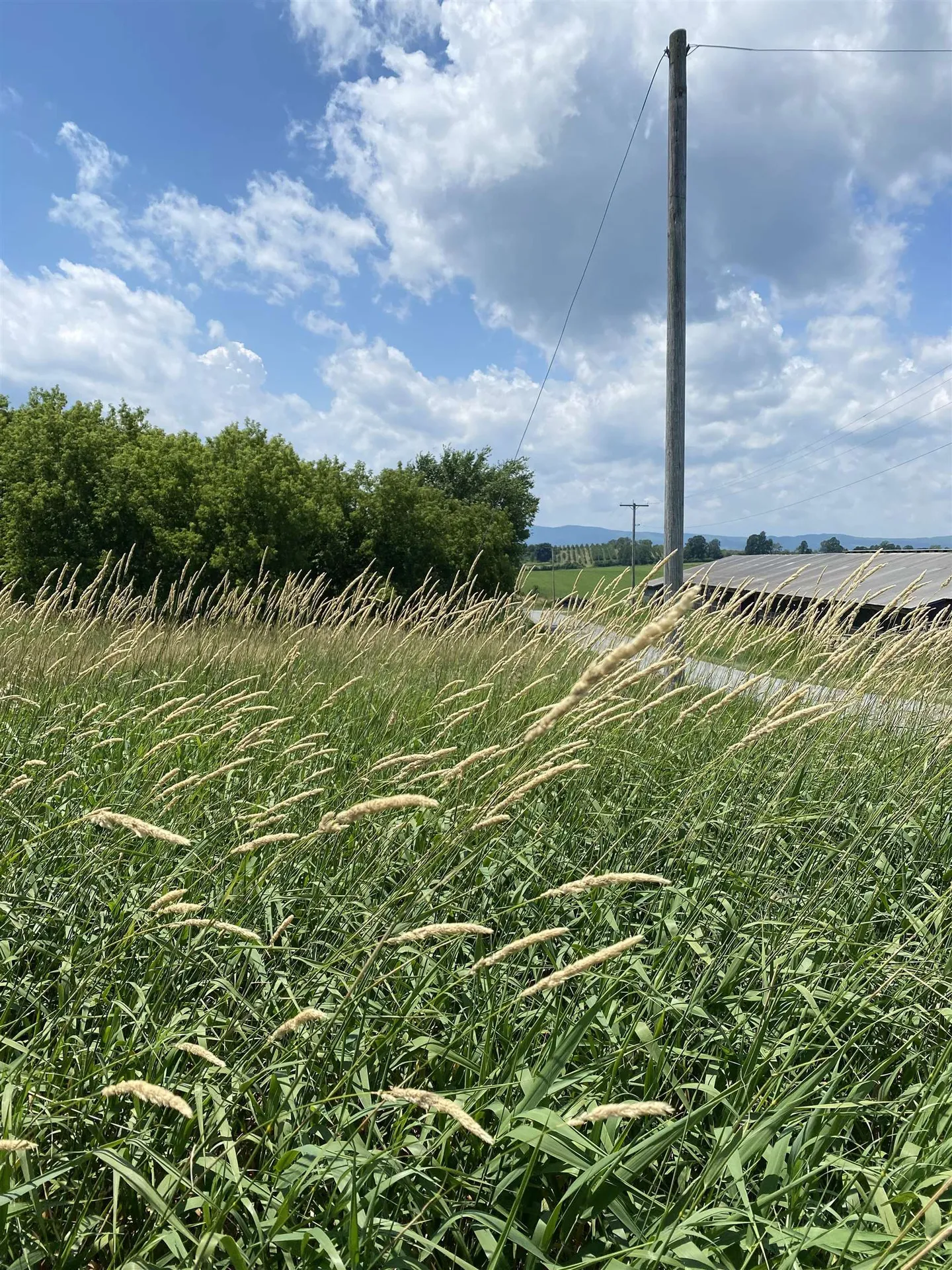 Tbd Barnum Hill Road Shoreham VT 05770