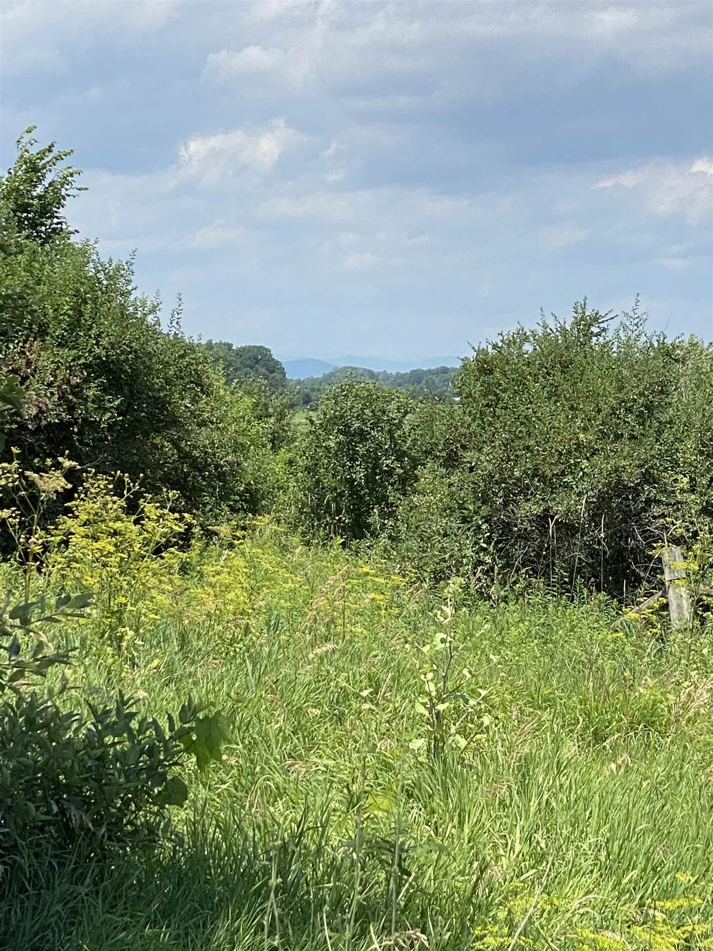 Tbd Barnum Hill Road Shoreham VT 05770