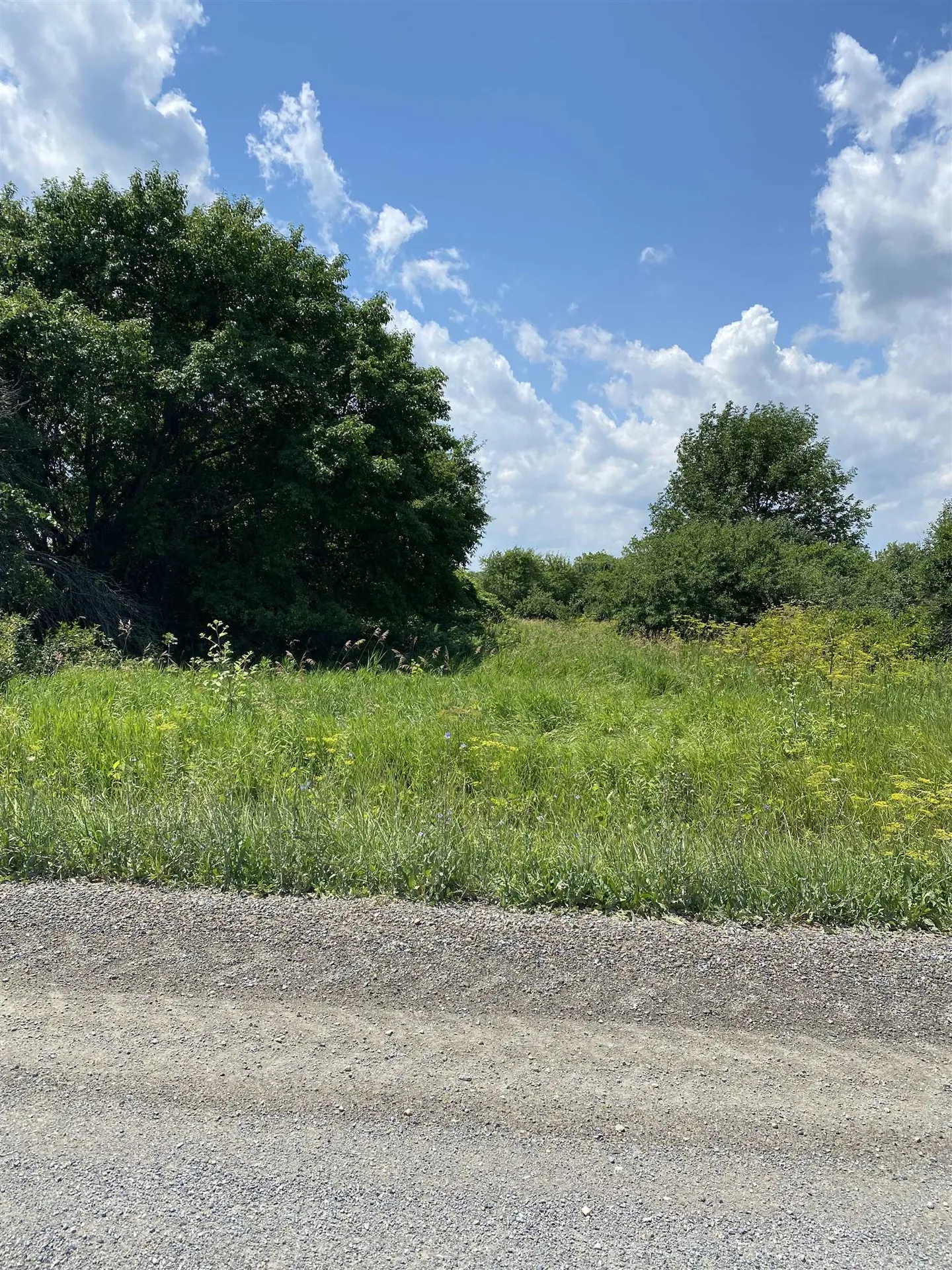 Tbd Barnum Hill Road Shoreham VT 05770