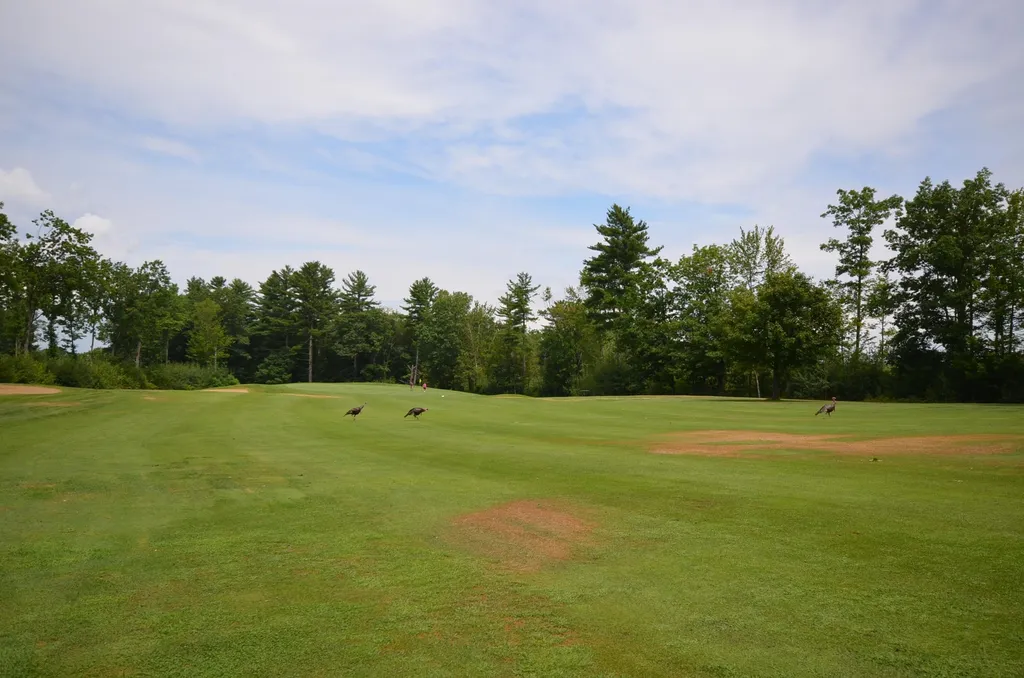 140 Country Club Road Gilford NH 03249