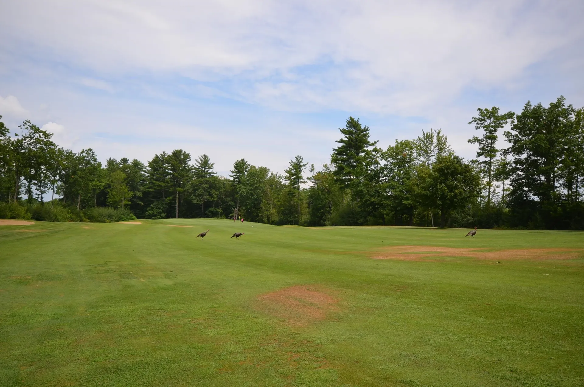 140 Country Club Road Gilford NH 03249