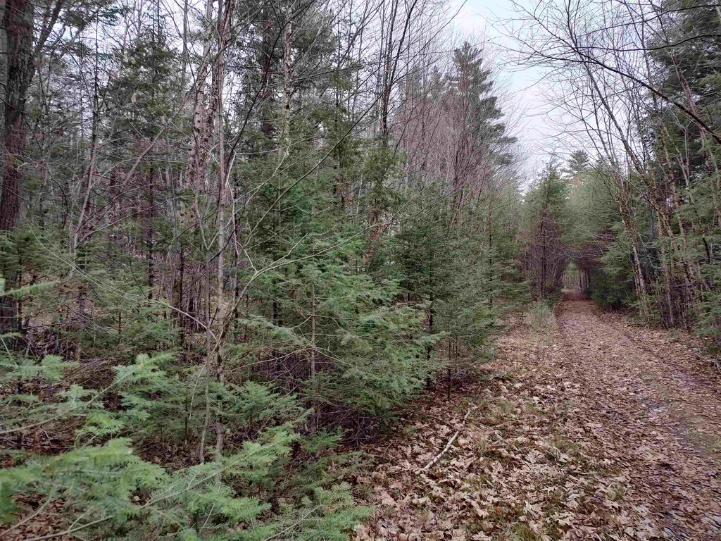 000 Wildwood Road Haverhill NH 03785