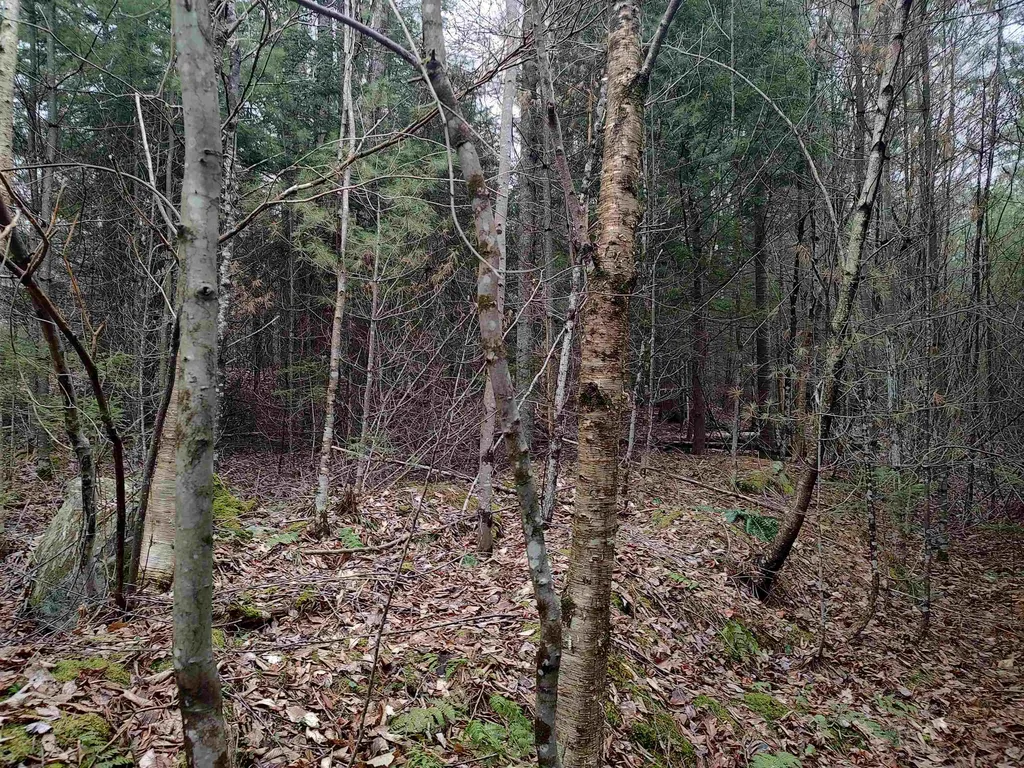 000 Wildwood Road Haverhill NH 03785
