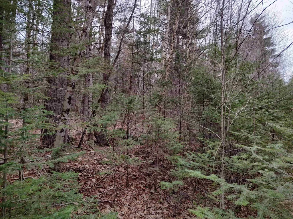 000 Wildwood Road Haverhill NH 03785