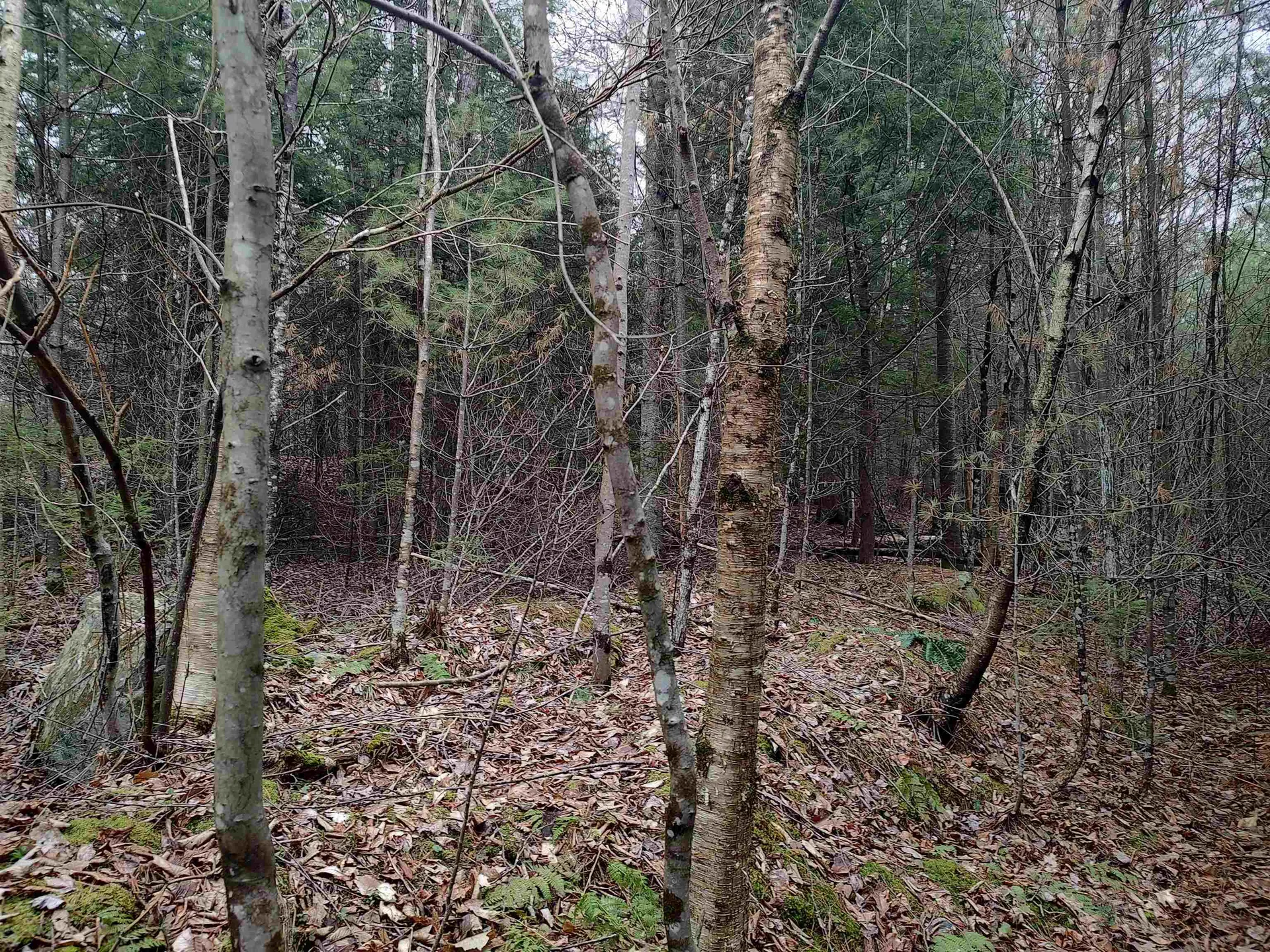 000 Wildwood Road Haverhill NH 03785