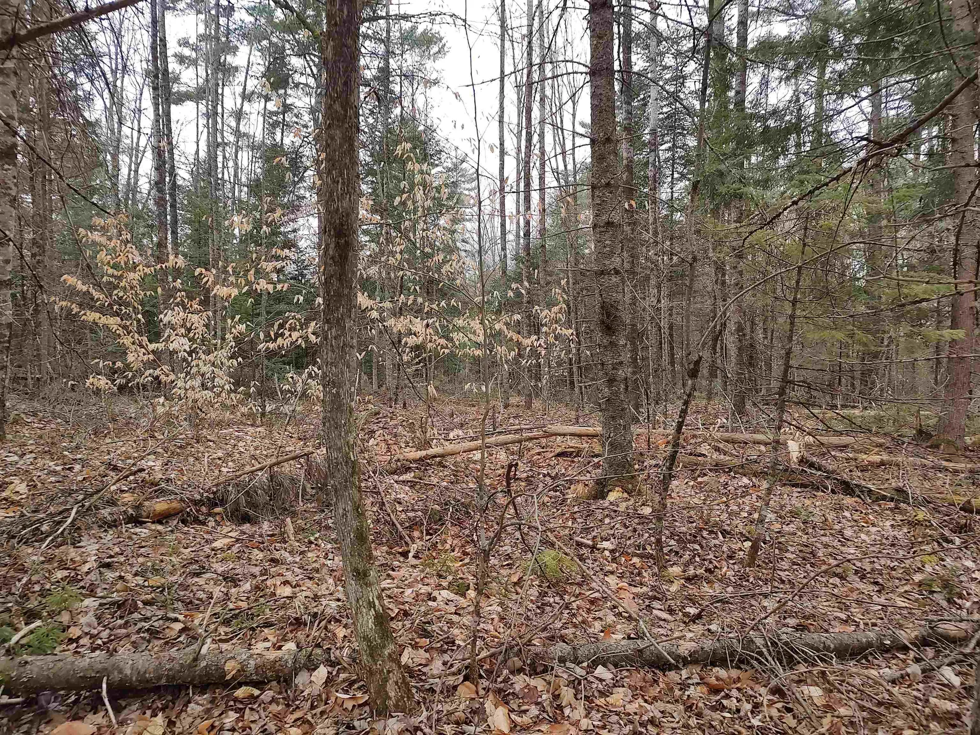000 Wildwood Road Haverhill NH 03785