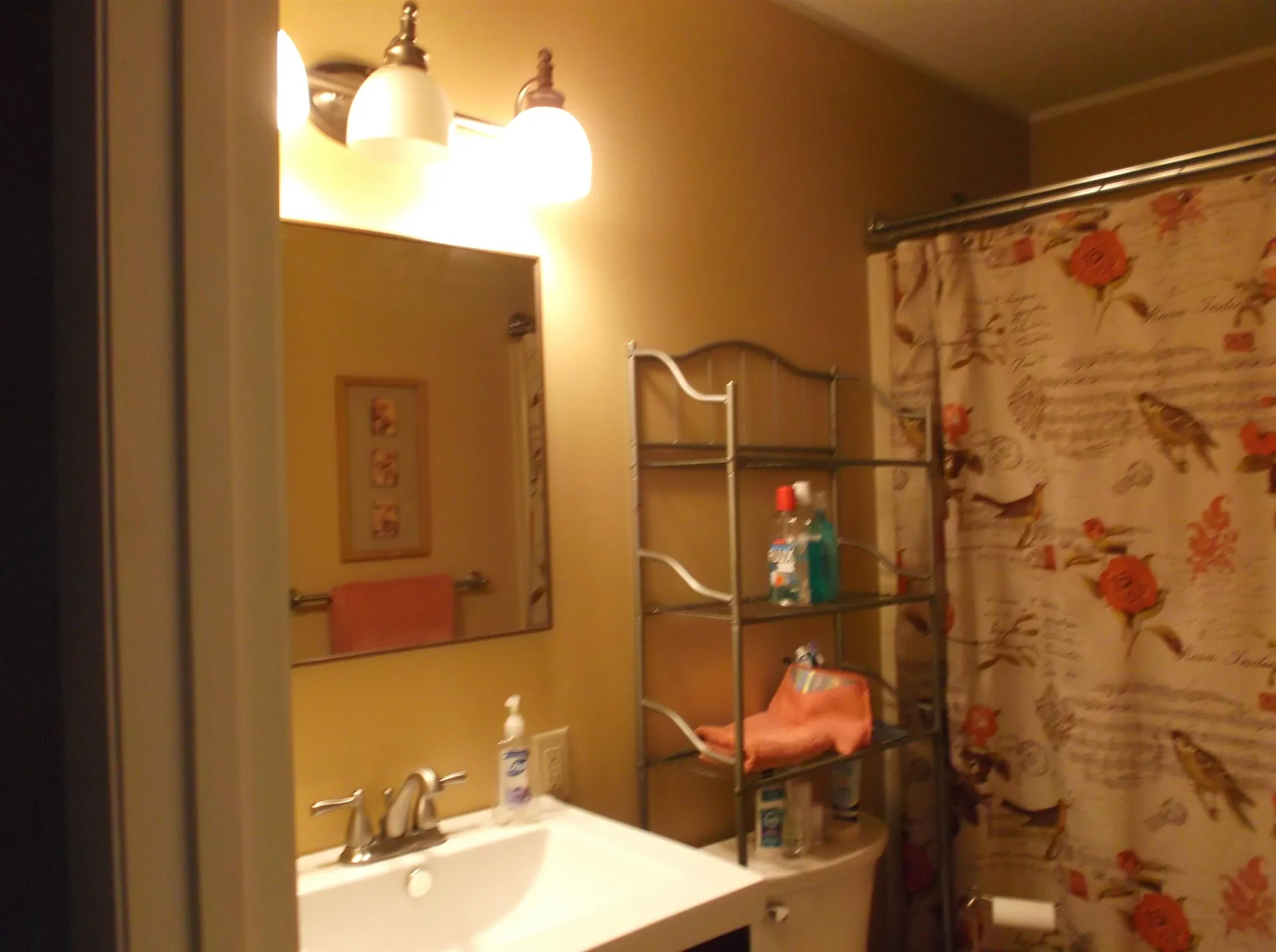 56 White Cedar Lane Shelburne VT 05482