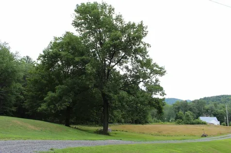 107 Lindgren Road Springfield VT 05156