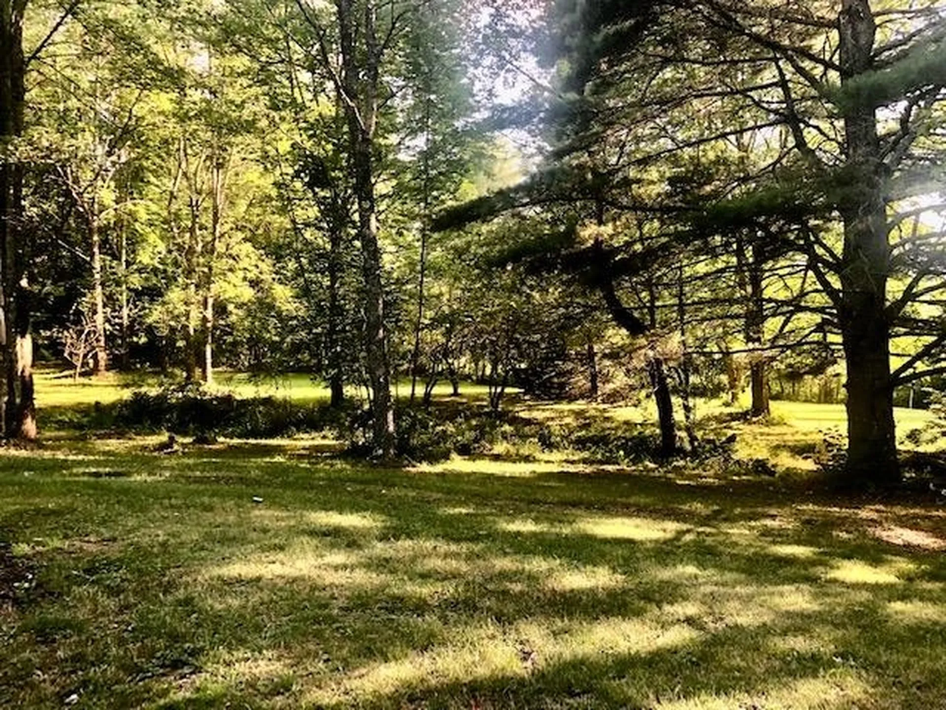 336 Mace Road Newbury VT 05033