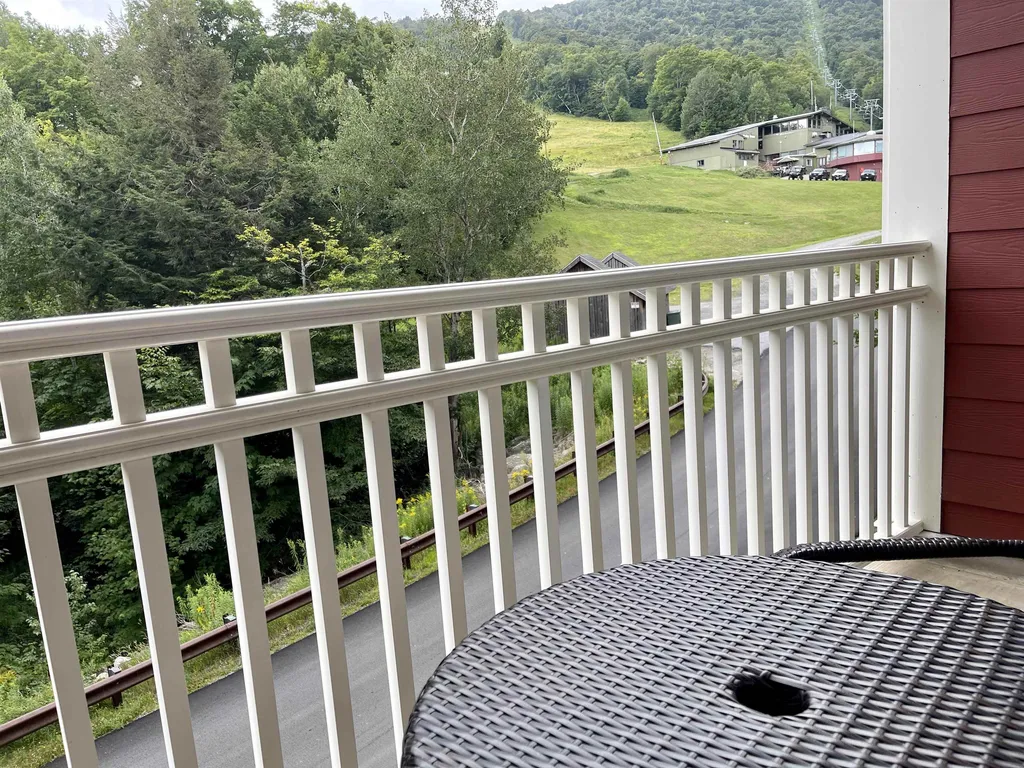 102 Forest 206 / Iii Drive Warren VT 05674