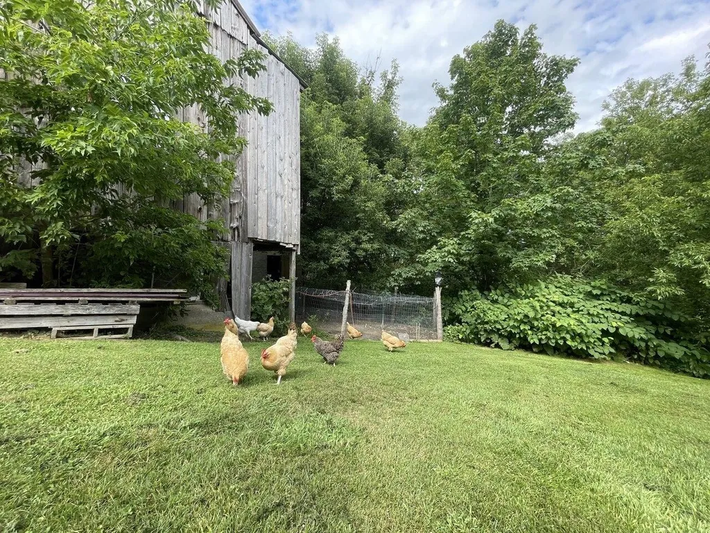 1475 Main Street Sheldon VT 05483