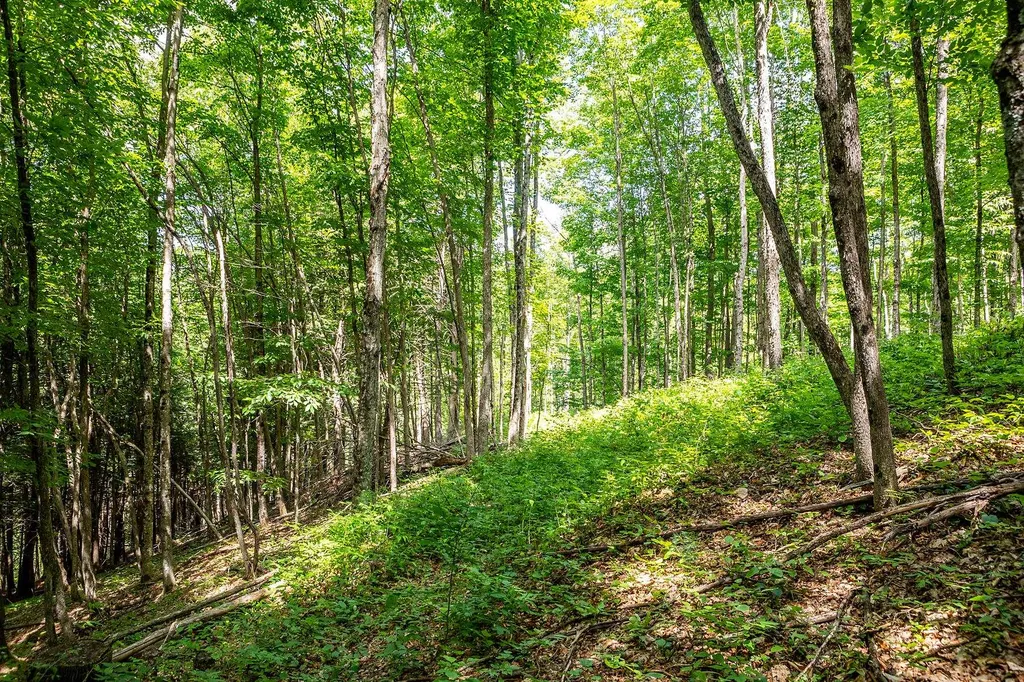 Tbd Pomfret Road Pomfret VT 05053