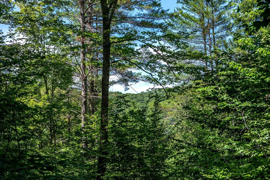 Tbd Pomfret Road Pomfret VT 05053