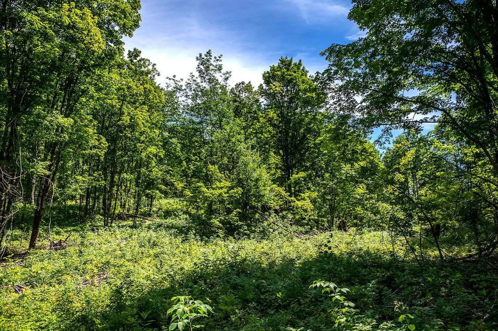Tbd Pomfret Road Pomfret VT 05053
