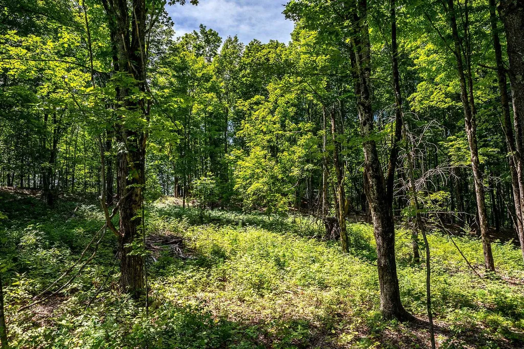 Tbd Pomfret Road Pomfret VT 05053