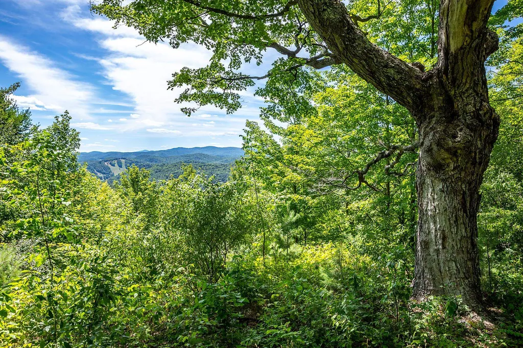 Tbd Pomfret Road Pomfret VT 05053