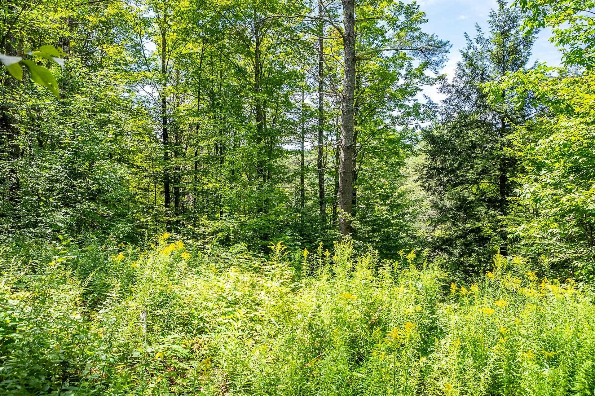 Tbd Pomfret Road Pomfret VT 05053