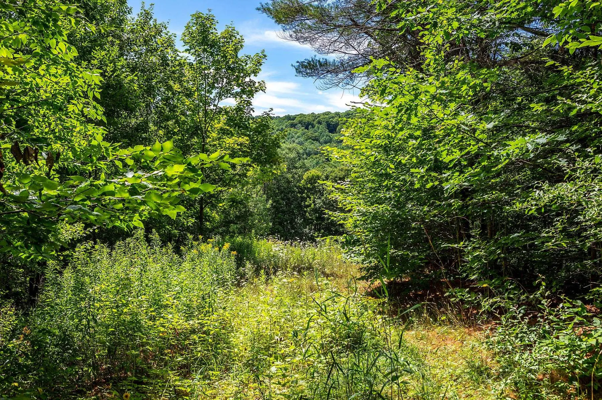 Tbd Pomfret Road Pomfret VT 05053