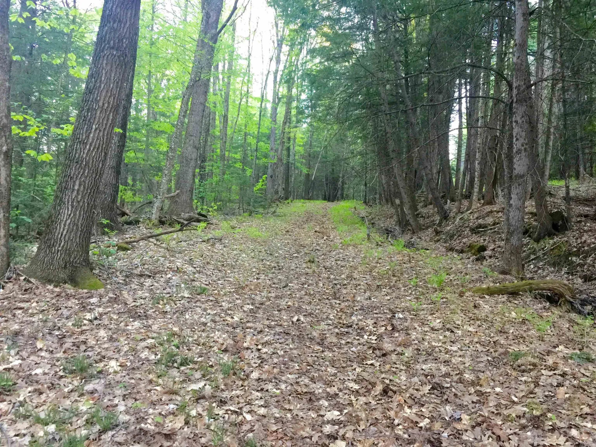 Tbd Pomfret Road Pomfret VT 05053