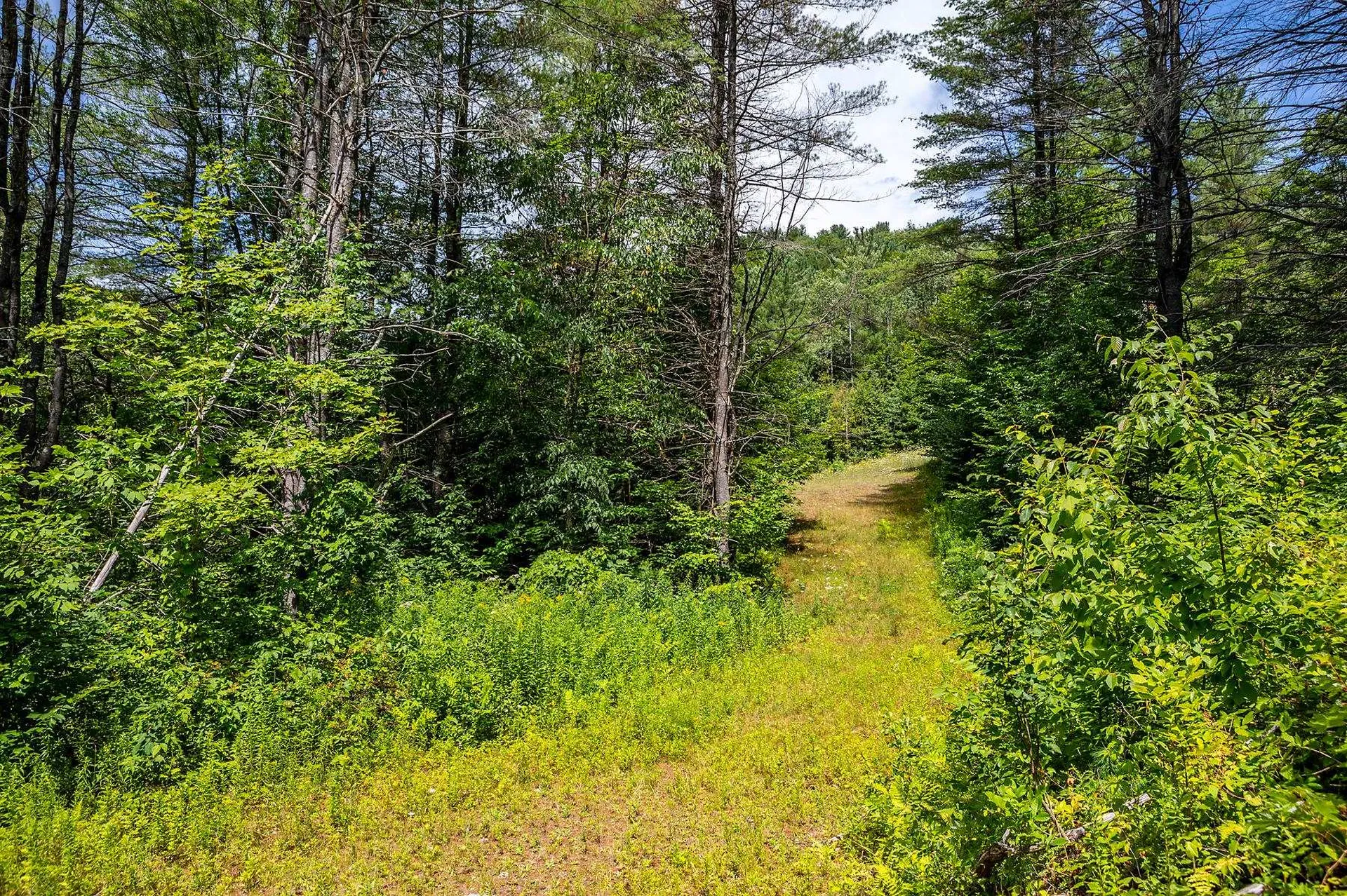 Tbd Pomfret Road Pomfret VT 05053