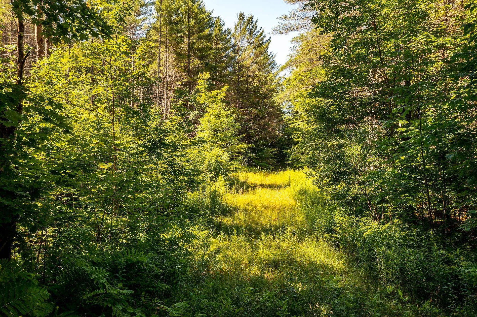 Tbd Pomfret Road Pomfret VT 05053