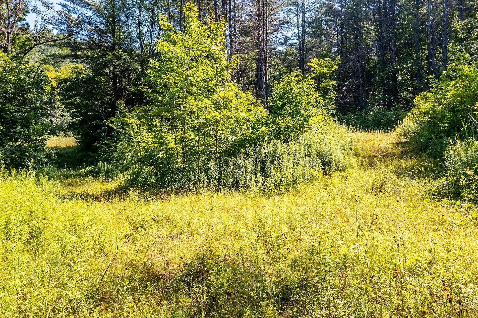 Tbd Pomfret Road Pomfret VT 05053