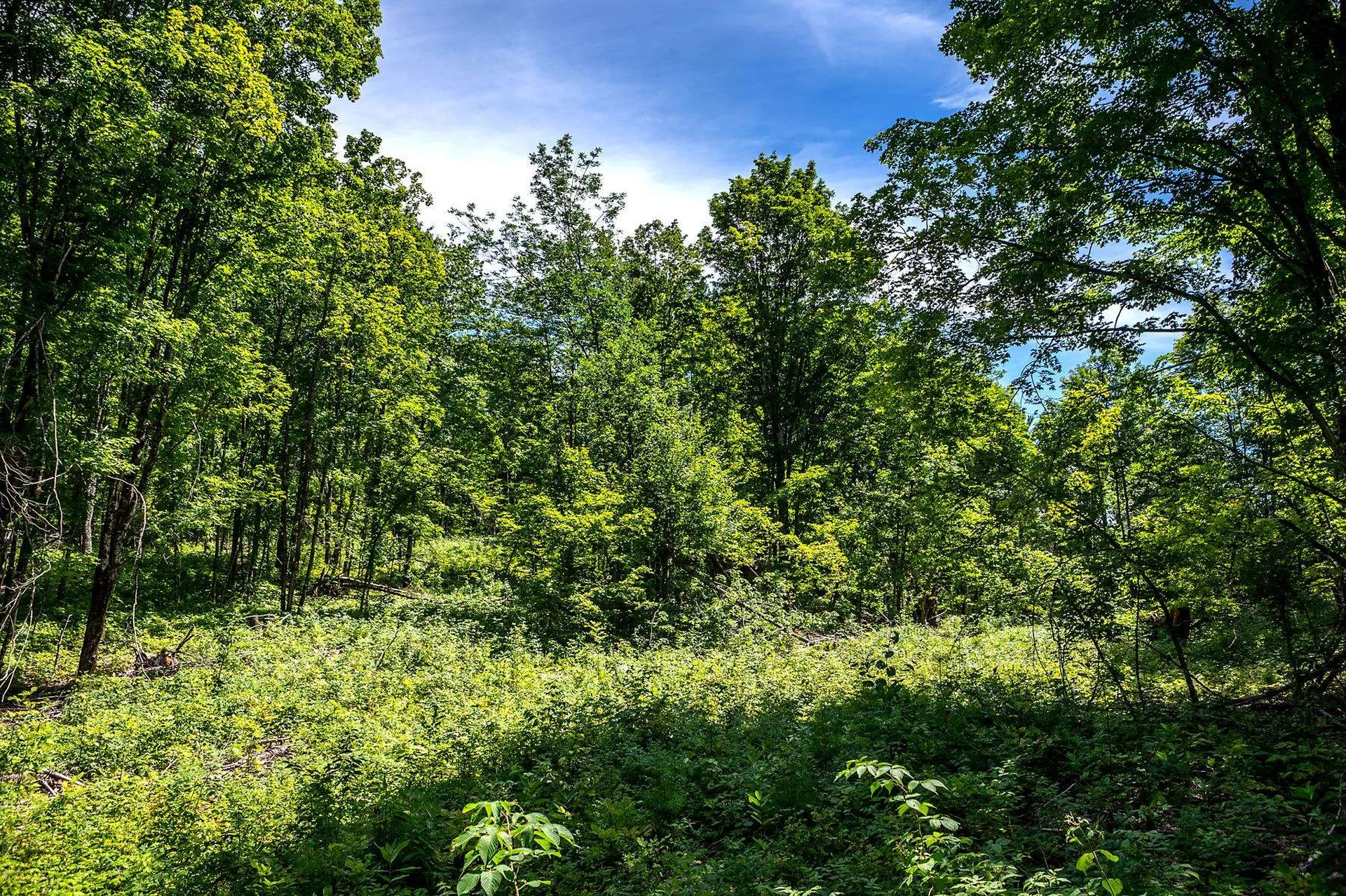 Tbd Pomfret Road Pomfret VT 05053