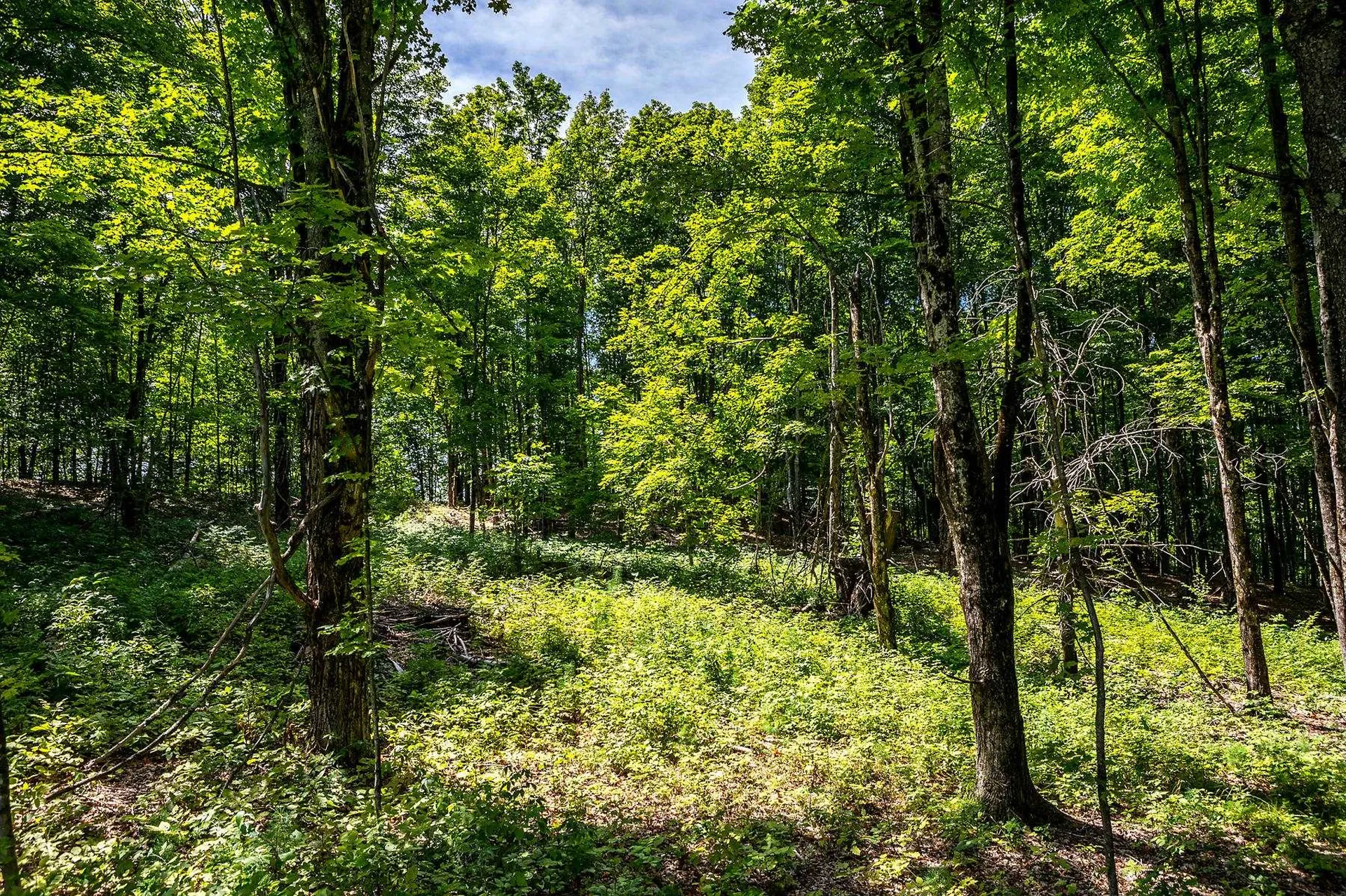Tbd Pomfret Road Pomfret VT 05053