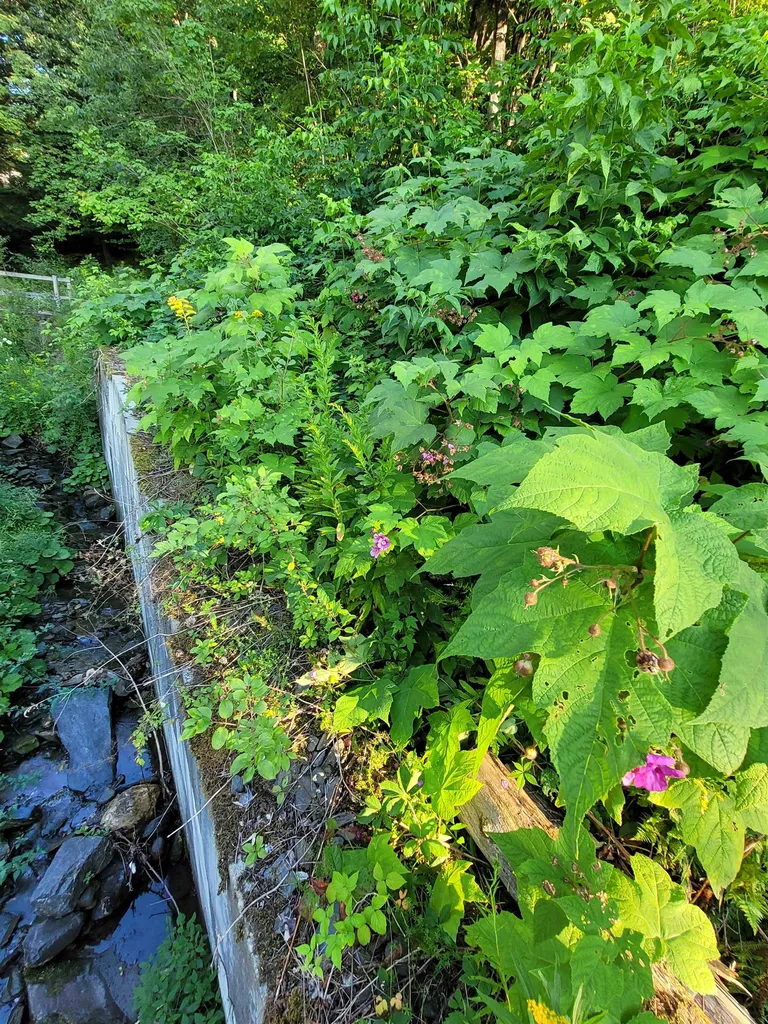 44 Sterling Hill Road Barre Town VT 05670