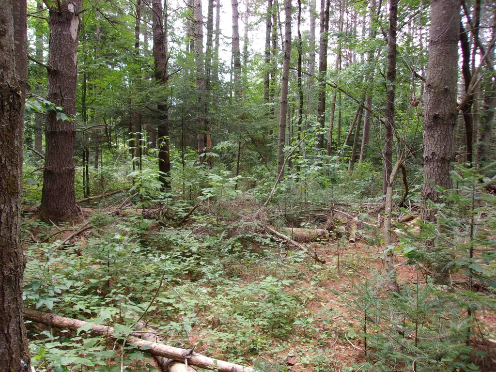 Rock Creek Drive Haverhill NH 03774