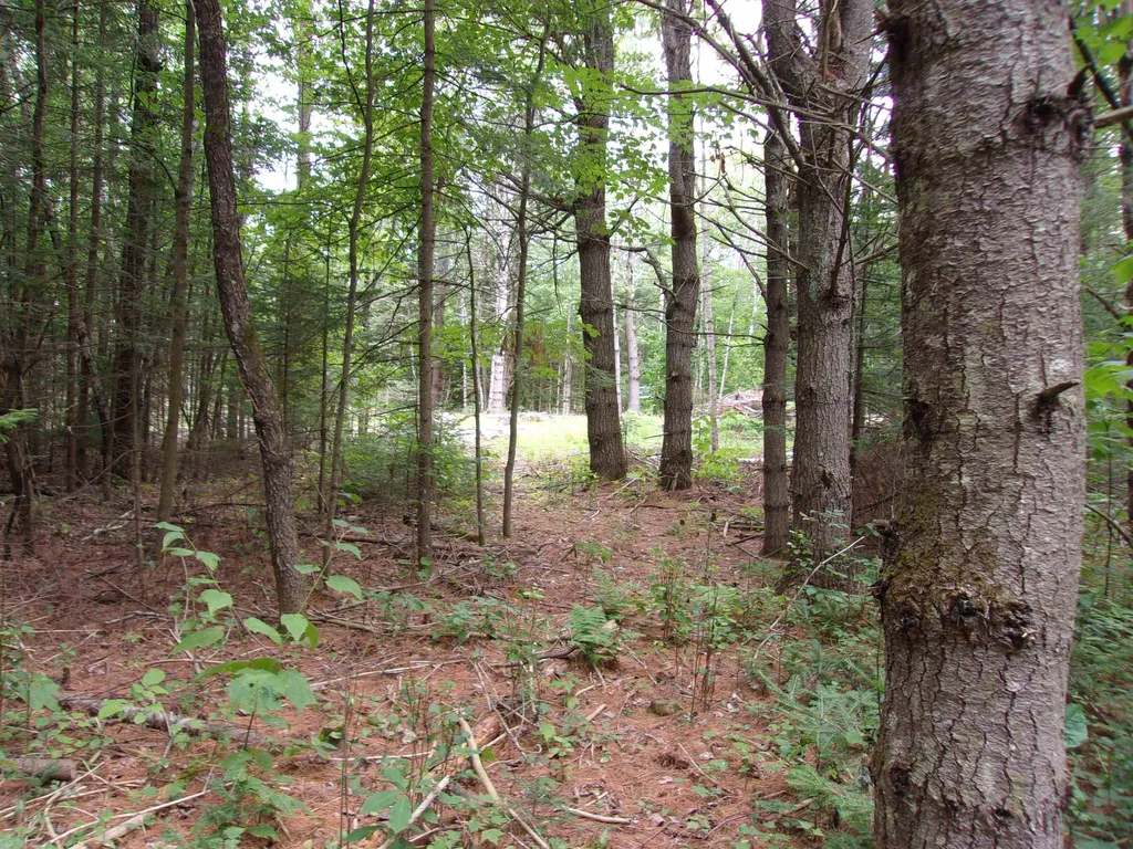 Rock Creek Drive Haverhill NH 03774