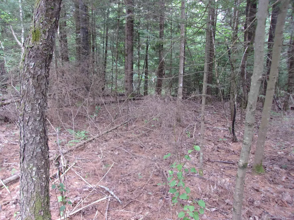 Rock Creek Drive Haverhill NH 03774