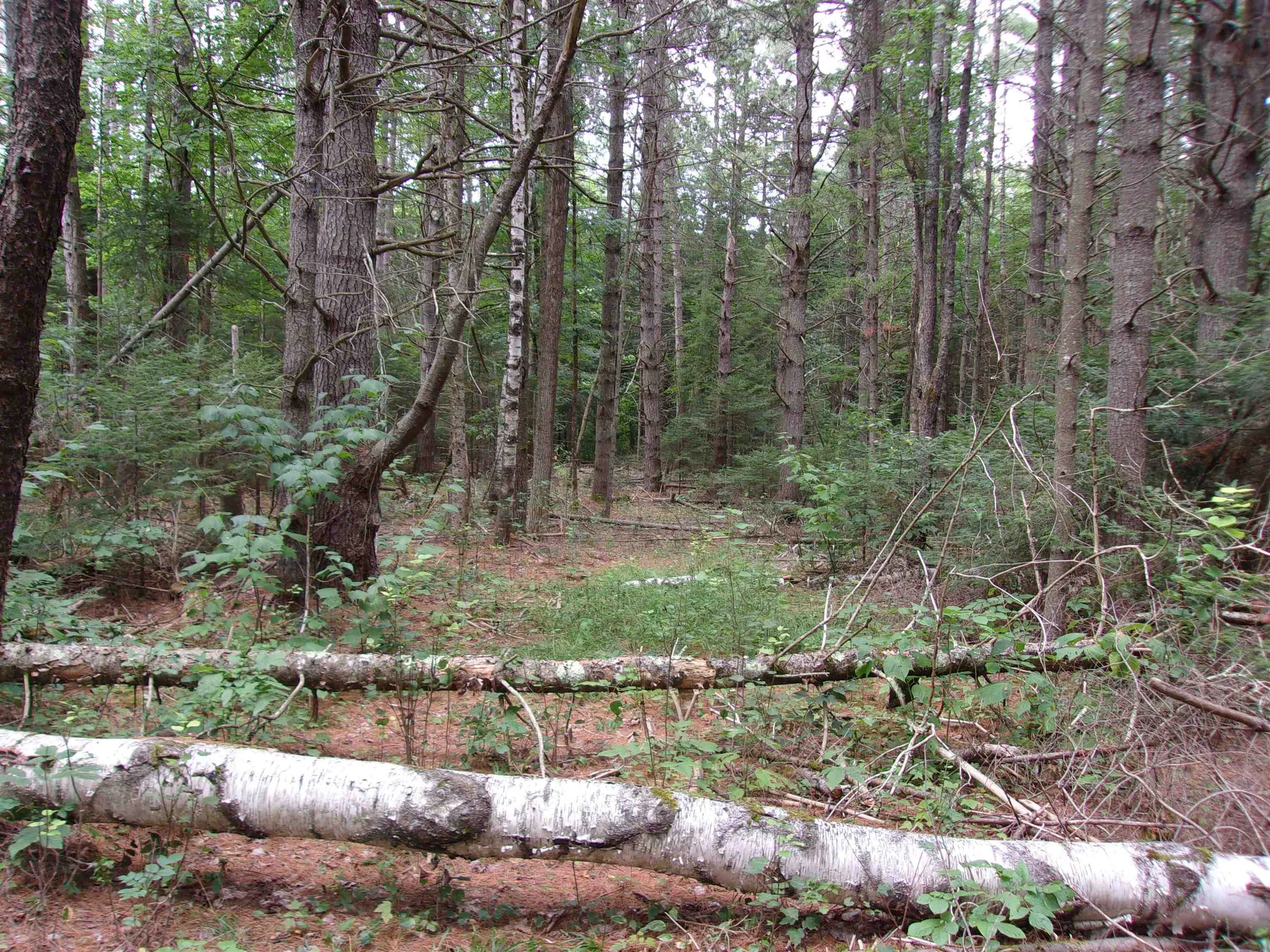 Rock Creek Drive Haverhill NH 03774
