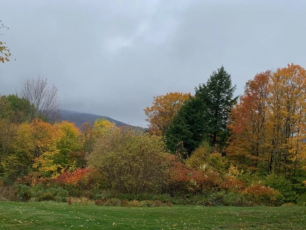 731 South Perry Road Barnard VT 05031