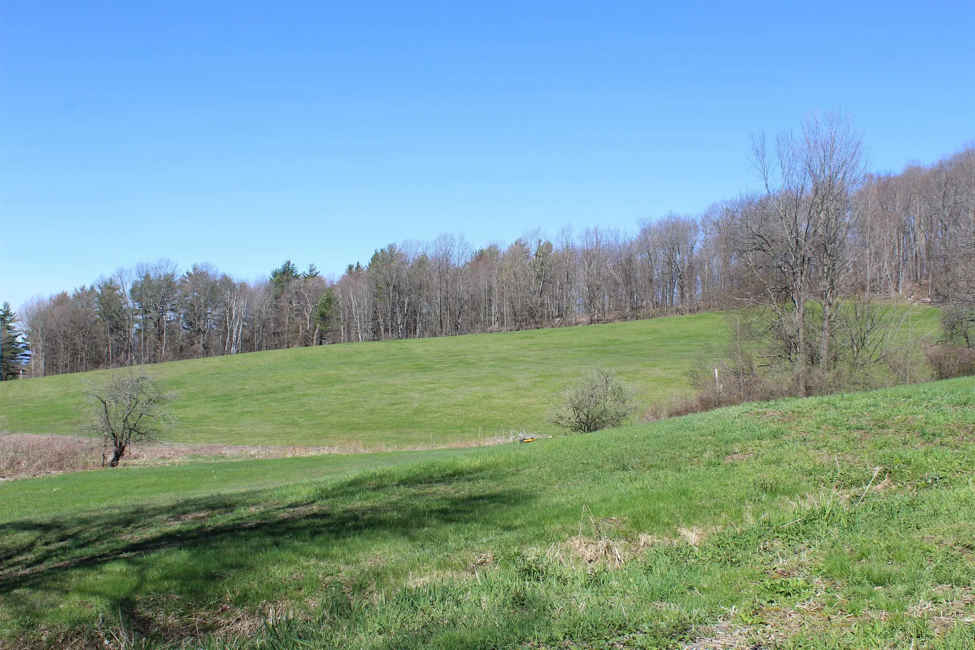 6 Knox Hill Road Orwell VT 05760