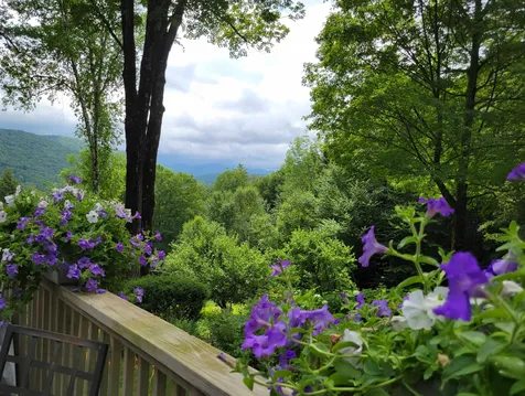 710 Cricket Hill Road Killington VT 05751