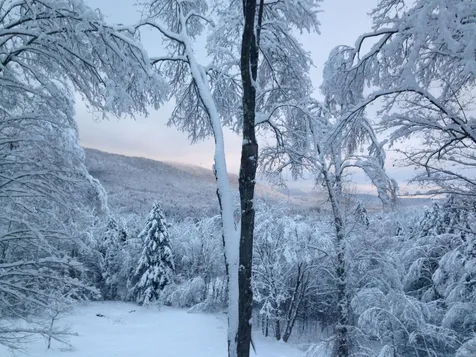 710 Cricket Hill Road Killington VT 05751