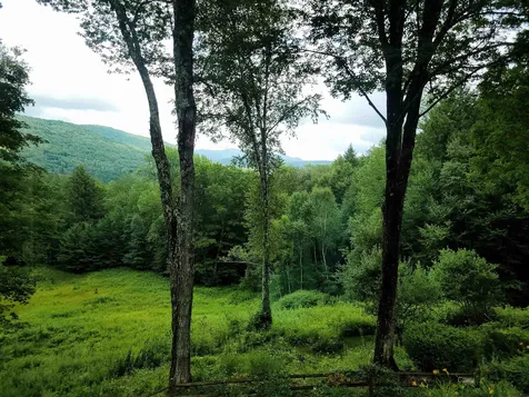 710 Cricket Hill Road Killington VT 05751