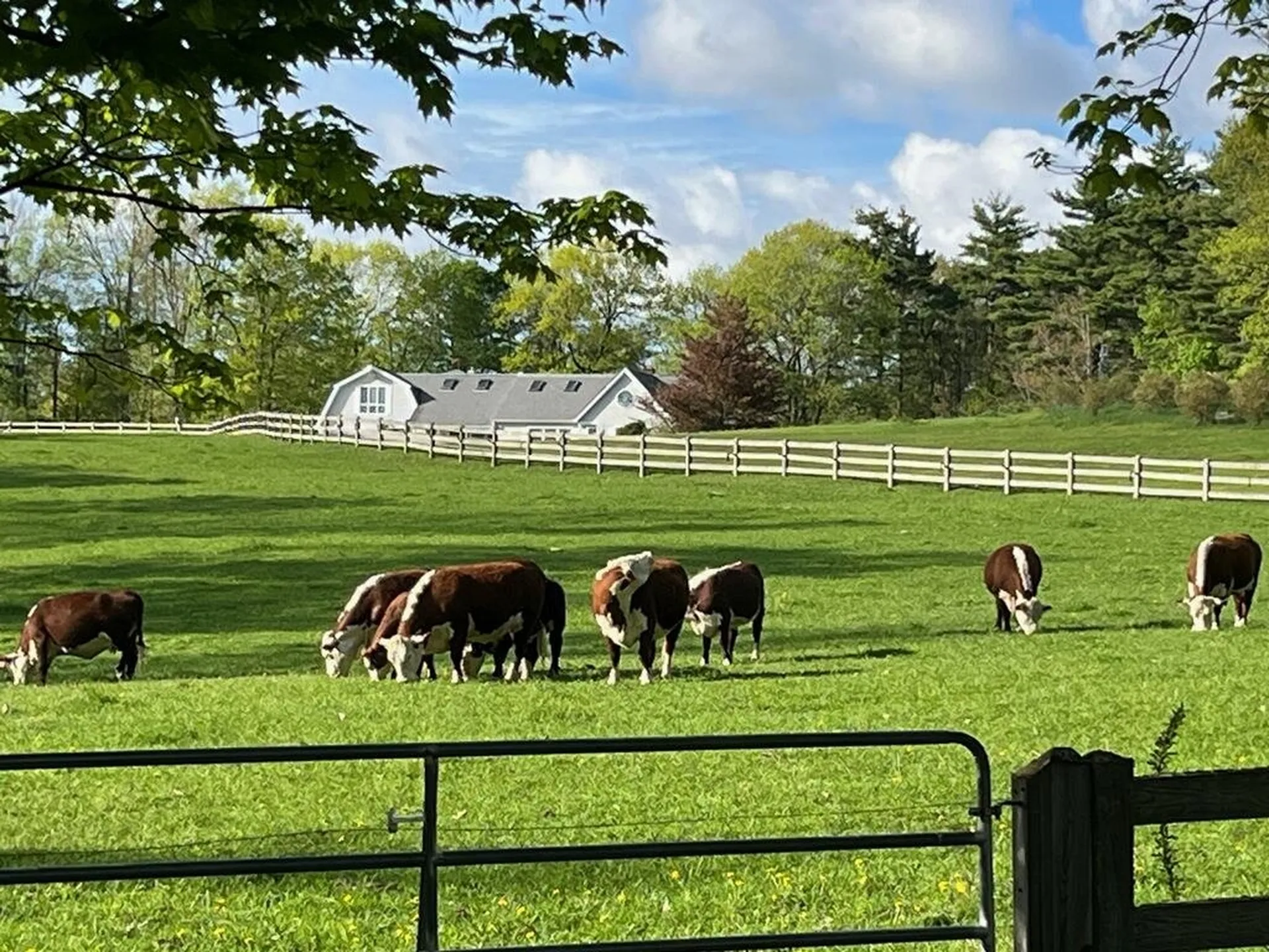 53 Wheeler Road New Ipswich NH 03071